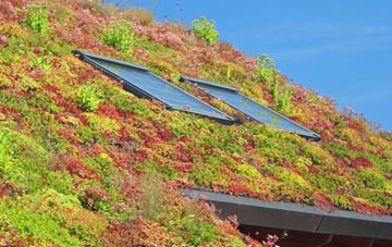 Chartham Hatch living roof systems