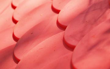 Chartham Hatch plastic roof costs