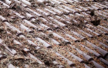 Chartham Hatch roof cleaning companies